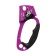     violet | 