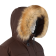  Sivera  2.0 