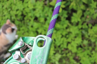 ������� ������� 10,5 �� ������� ����������� ������� | ��� ����