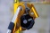 ������������ ���������� ASAP '26 | Petzl