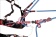 ����� GYRO LANYARD TWIN | CAMP