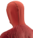    | Sivera